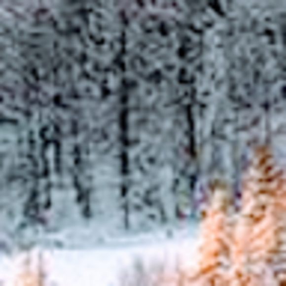 teresaskogla855